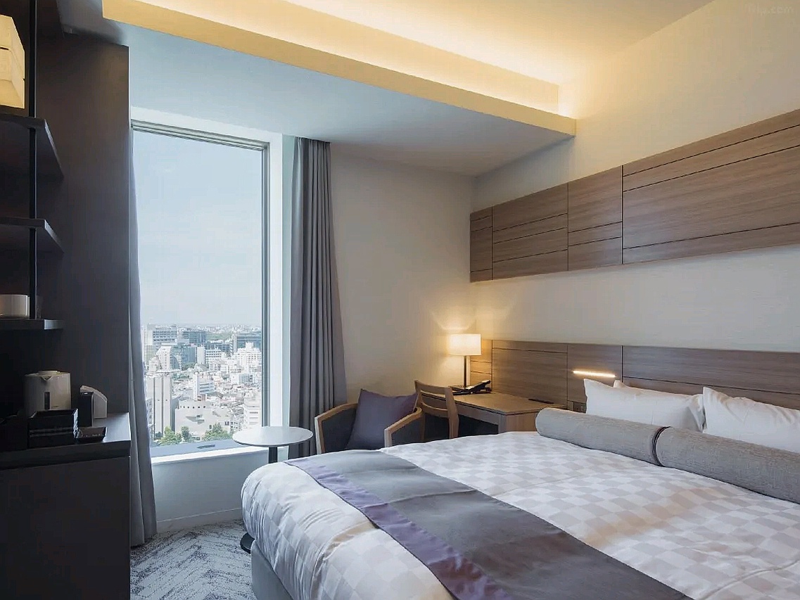 닛폰 세이넨칸 호텔 - 도쿄 호텔 Nippon Seinenkan Hotel Hotel Room | 닛폰 세이넨칸 호텔 호텔 룸